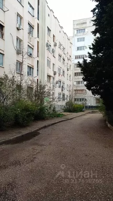 1-к кв. Севастополь просп. Героев Сталинграда, 52 (30.0 м) - Фото 0