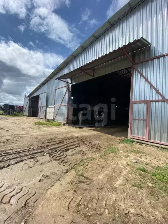 Склад в Амурская область, Благовещенский район, с. Волково ул. ... - Фото 1