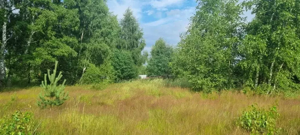 Участок в Московская область, Павлово-Посадский городской округ, д. ... - Фото 1