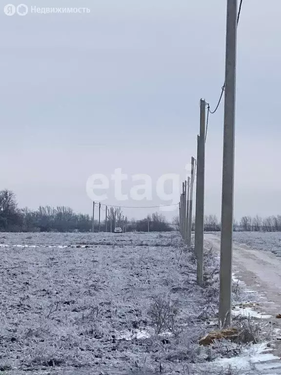 Участок в Мясниковский район, Краснокрымское сельское поселение, село ... - Фото 0