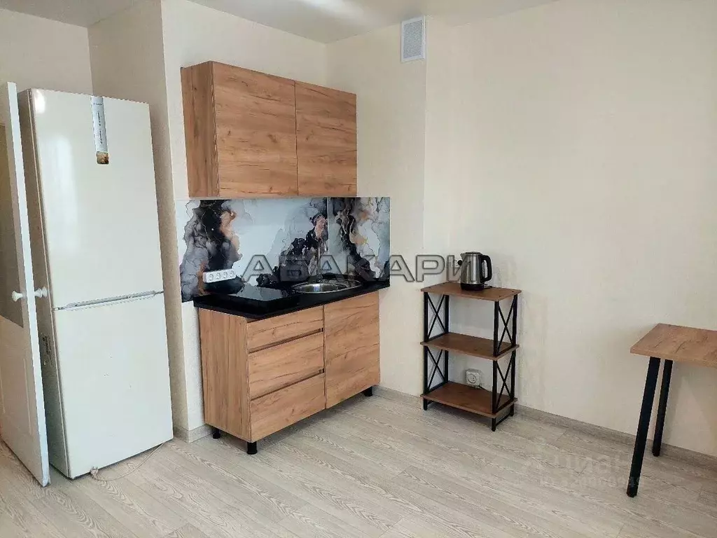 Студия Красноярский край, Красноярск ул. Чернышевского, 110 (28.0 м) - Фото 1