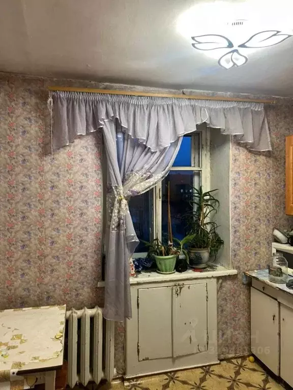 2-к кв. Новосибирская область, Новосибирск ул. Петухова, 118 (60.0 м) - Фото 1