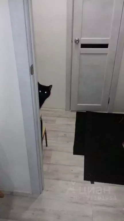 1-к кв. Мурманская область, Мурманск Северный проезд, 6 (33.0 м) - Фото 0