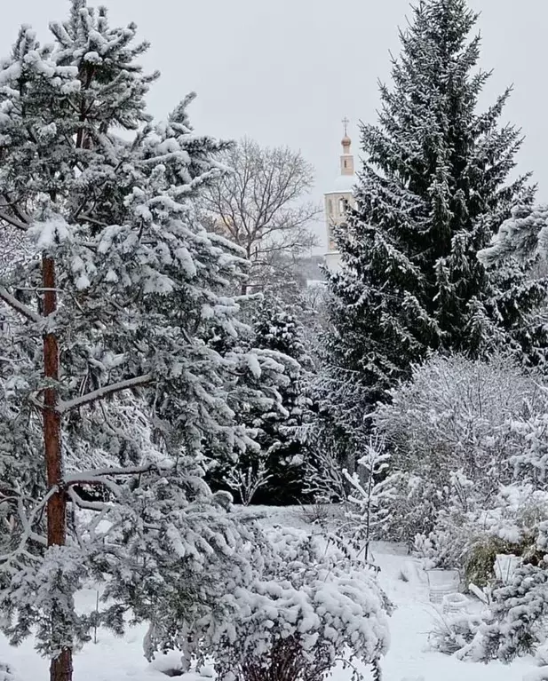 Участок в Калужская область, Боровск ул. Шмидта, 30 (6.11 сот.) - Фото 0