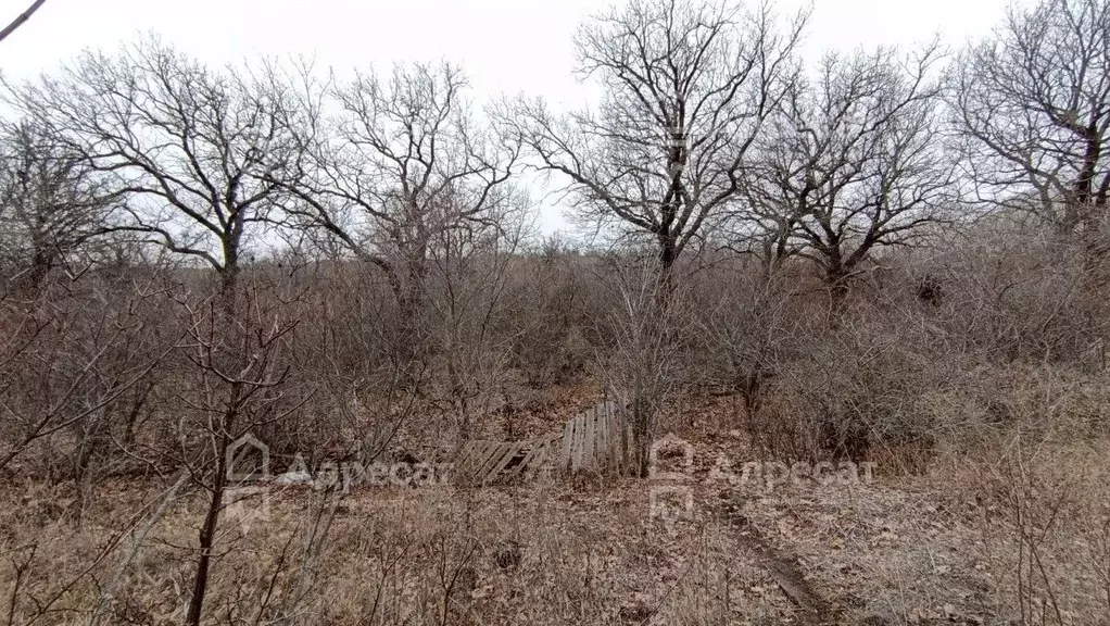 Дом в Волгоградская область, Волгоград Кировец СНТ,  (30 м) - Фото 2