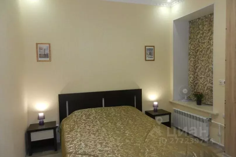 1-к кв. Санкт-Петербург Конюшенный пер., 1/6 (25.0 м) - Фото 1
