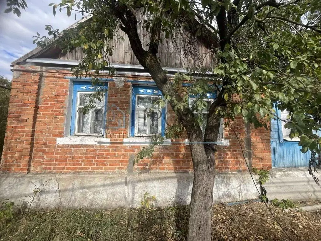 Дом в Белгородская область, Новооскольский муниципальный округ, с. ... - Фото 1