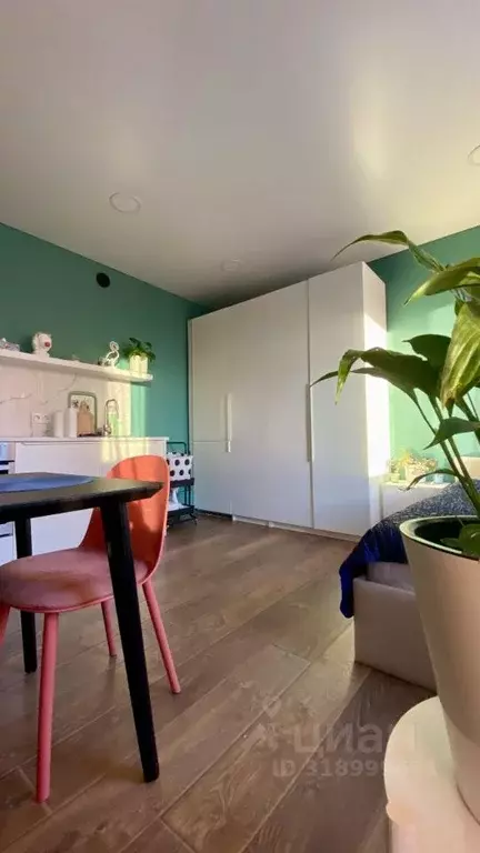 Студия Санкт-Петербург Комендантский просп., 60к1 (25.4 м) - Фото 1