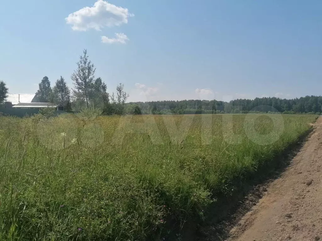 Участок 6 сот. (СНТ, ДНП) - Фото 1
