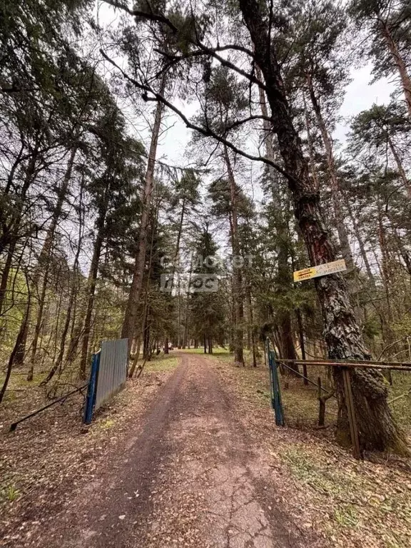 Помещение свободного назначения в Калужская область, Таруса пл. ... - Фото 1