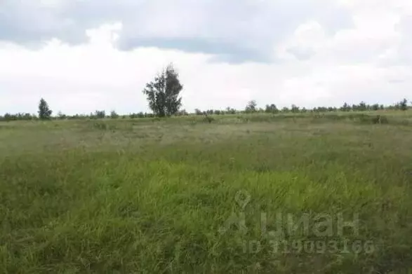 Участок в Самарская область, Тольятти Южное ш. (2300.0 сот.) - Фото 0