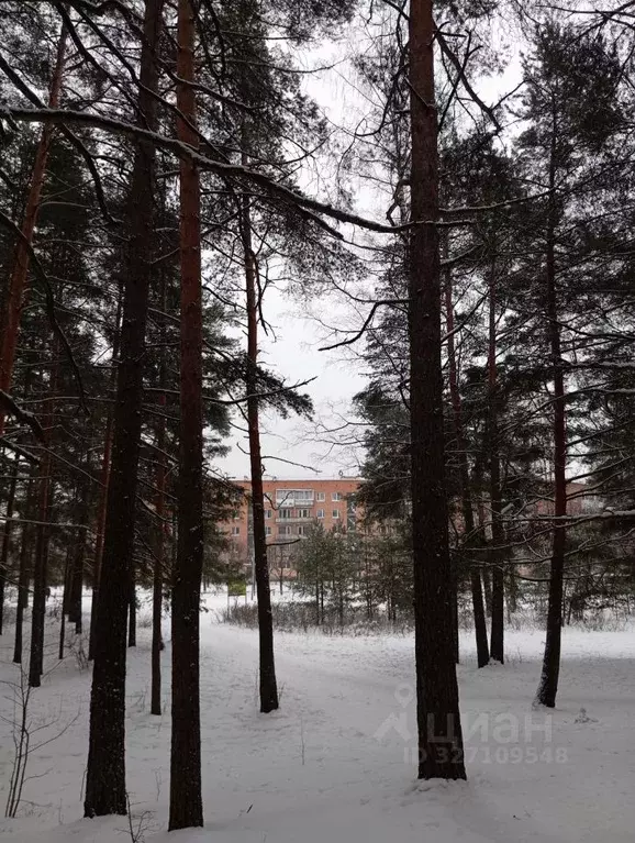 3-к кв. Ленинградская область, Сосновый Бор ул. 50 лет Октября, 12 ... - Фото 1