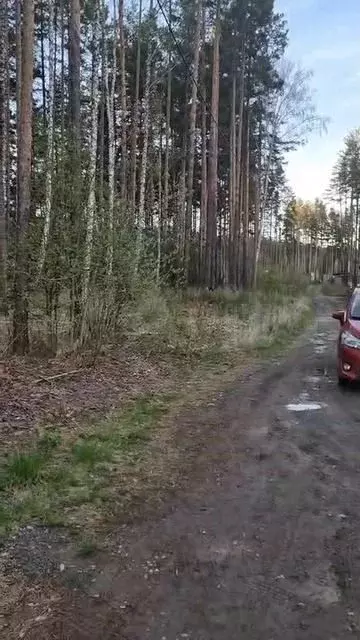 Участок 10 сот. (ИЖС) - Фото 1