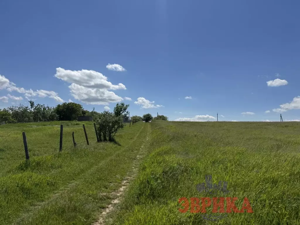 Участок в Краснодарский край, Крымский район, с. Молдаванское ... - Фото 2