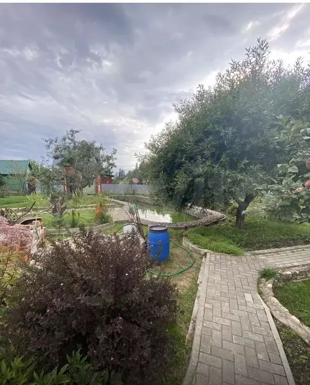 Участок 19,6 сот. (СНТ, ДНП) - Фото 1