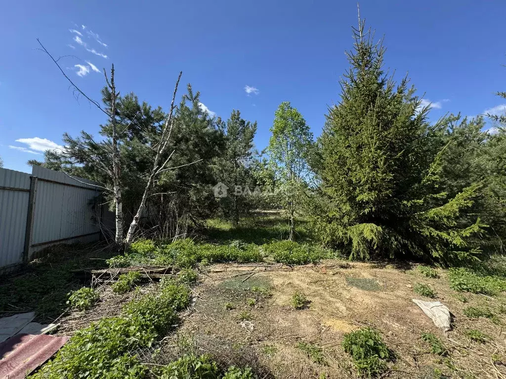 Продается участок в д. Плешкино - Фото 2