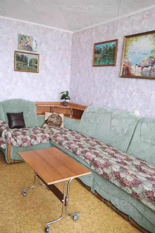 2-к кв. Нижегородская область, Бор Сосновая ул., 71А (75.0 м) - Фото 2