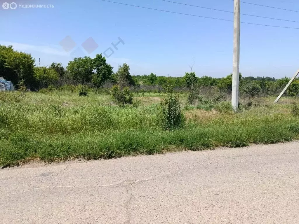 Участок в посёлок городского типа Черноморский, садовое товарищество ... - Фото 1