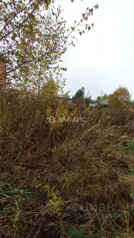 Участок в Владимирская область, Судогодский район, д. Вяткино  (10.0 ... - Фото 1