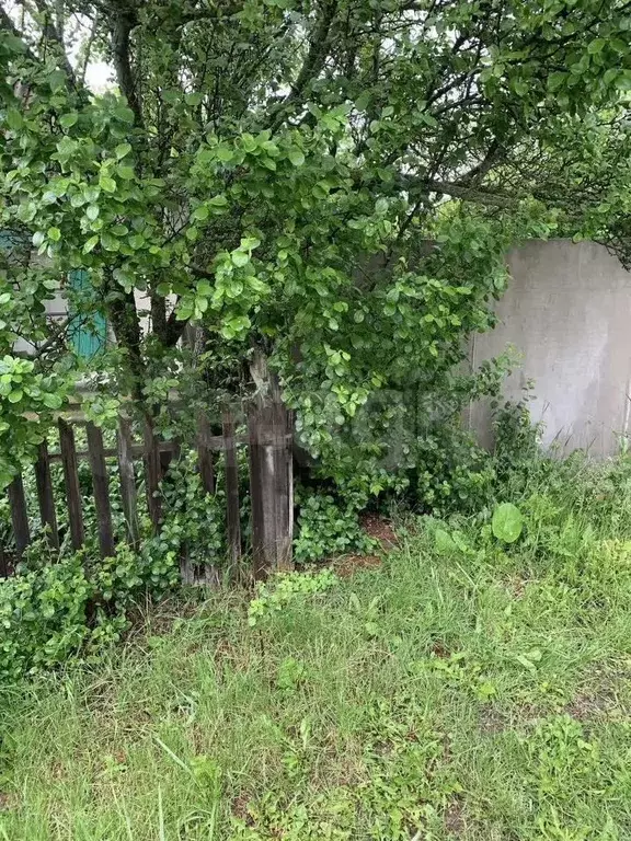 Участок 18,4 сот. (личное подсобное хозяйство (лпх)) - Фото 1