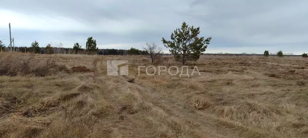 Участок в Алтайский край, Барнаул ул. Ползунова, 70 (9.8 сот.) - Фото 0