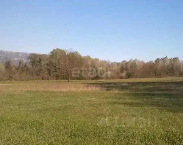Участок в Алтайский край, Алтайский район, с. Верх-Ая Школьная ул., 1 ... - Фото 1