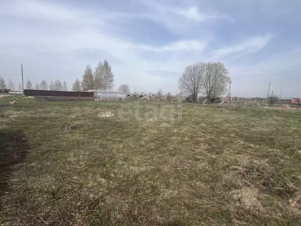 Участок в Мордовия, Лямбирский район, Берсеневское с/пос, Альтерра кп  ... - Фото 2