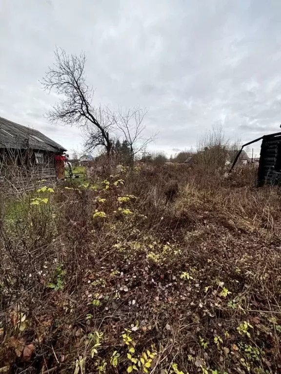 Участок в Тверская область, Конаковский муниципальный округ, д. Сажино ... - Фото 2