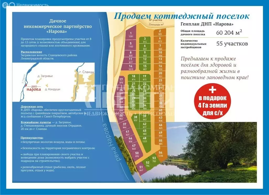 Участок в Сланцевский район, Загривское сельское поселение, деревня ... - Фото 1