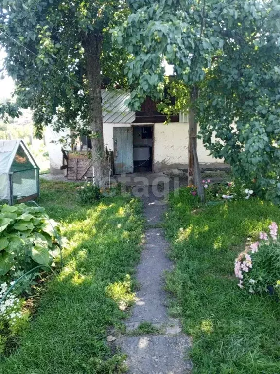 Дом в Алтайский край, Алтайский район, с. Алтайское ул. Революции (45 ... - Фото 0