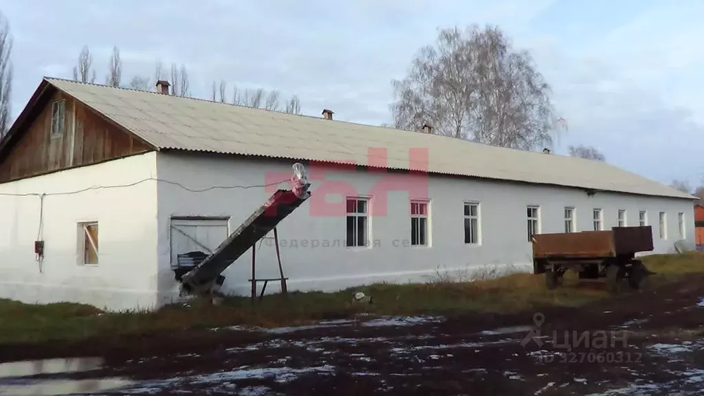 Производственное помещение в Воронежская область, Бобровский район, ... - Фото 1