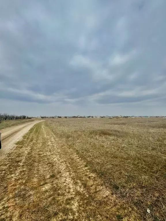 Участок в Крым, Сакский район, с. Уютное ул. Миндальная (8.0 сот.) - Фото 1