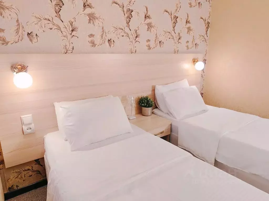 Комната Краснодарский край, Анапа муниципальный округ, с. Витязево ул. ... - Фото 2