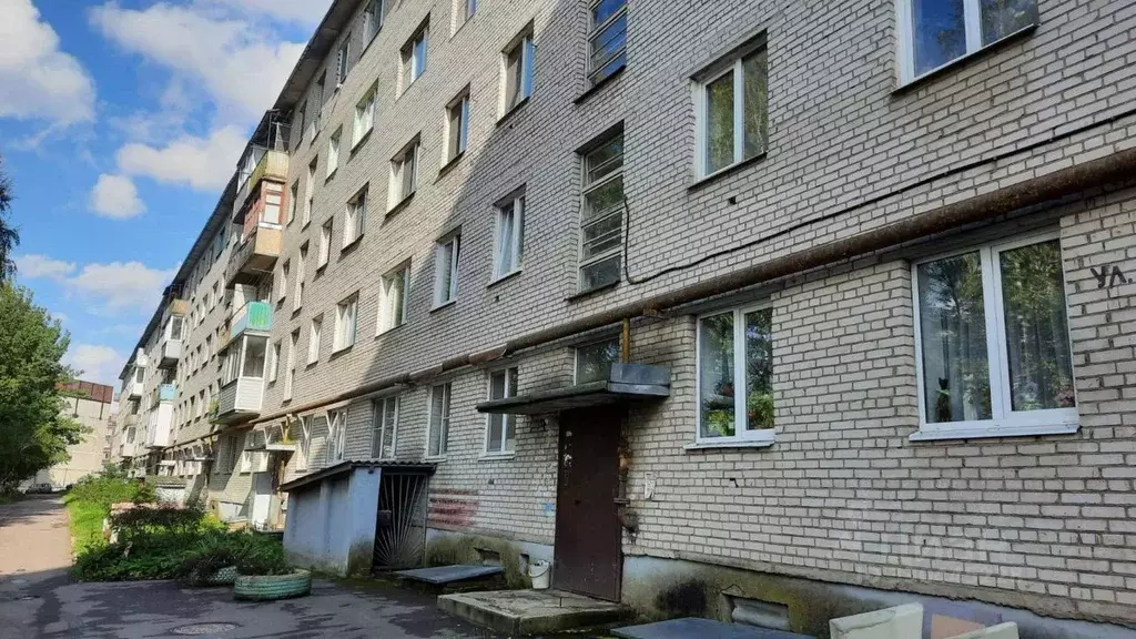 2-к кв. Ленинградская область, Сланцы ул. Гагарина, 13 (47.3 м) - Фото 0