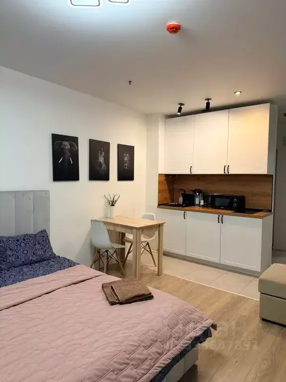 Студия Москва Волоколамское ш., 24к1 (30.0 м) - Фото 2