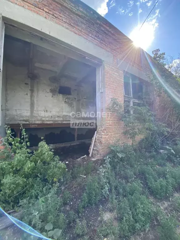 Помещение свободного назначения в Калмыкия, Элиста просп. Имени Петра ... - Фото 1