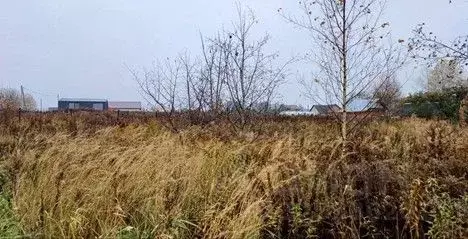 Участок в Московская область, Сергиево-Посадский городской округ, д. ... - Фото 1