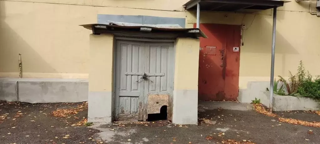 Помещение свободного назначения в Челябинская область, Аша ул. ... - Фото 0