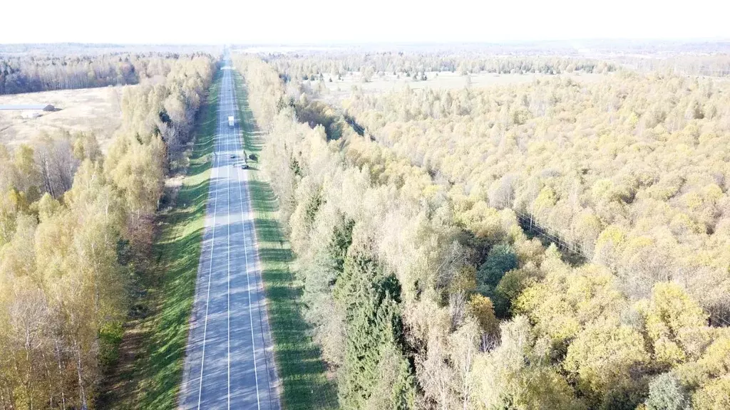 Участок в Владимирская область, Александровский район, Каринское ... - Фото 0