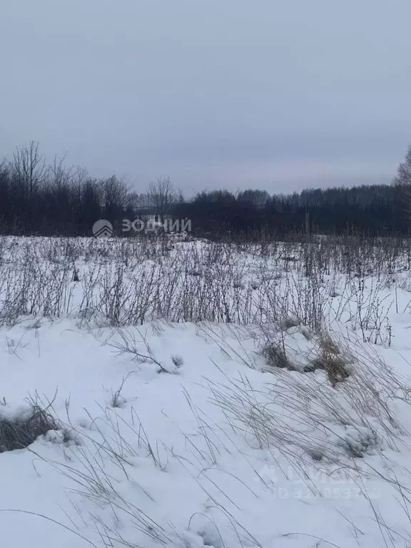 Участок в Чувашия, Моргаушский муниципальный округ, д. Карамалькасы ... - Фото 0