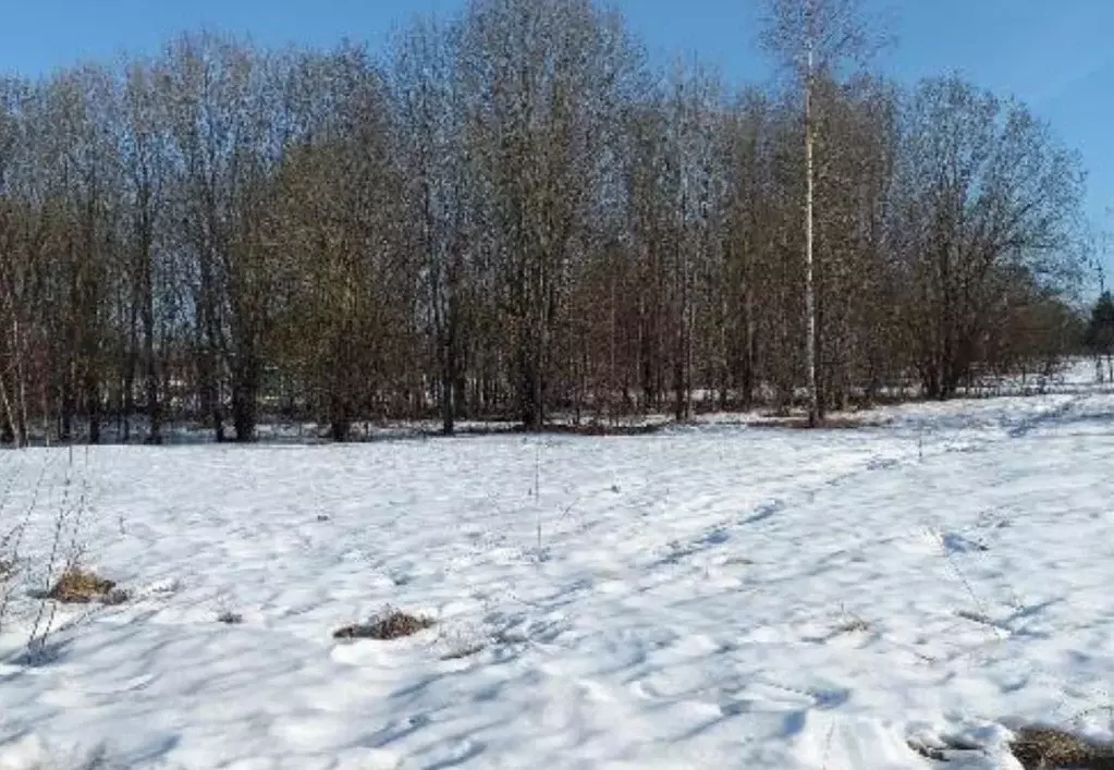 Участок в Московская область, Дмитровский муниципальный округ, д. ... - Фото 1