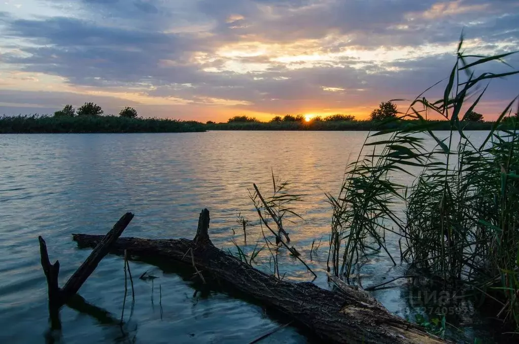 Участок в Краснодарский край, Динской район, Новотитаровская ст-ца ... - Фото 1