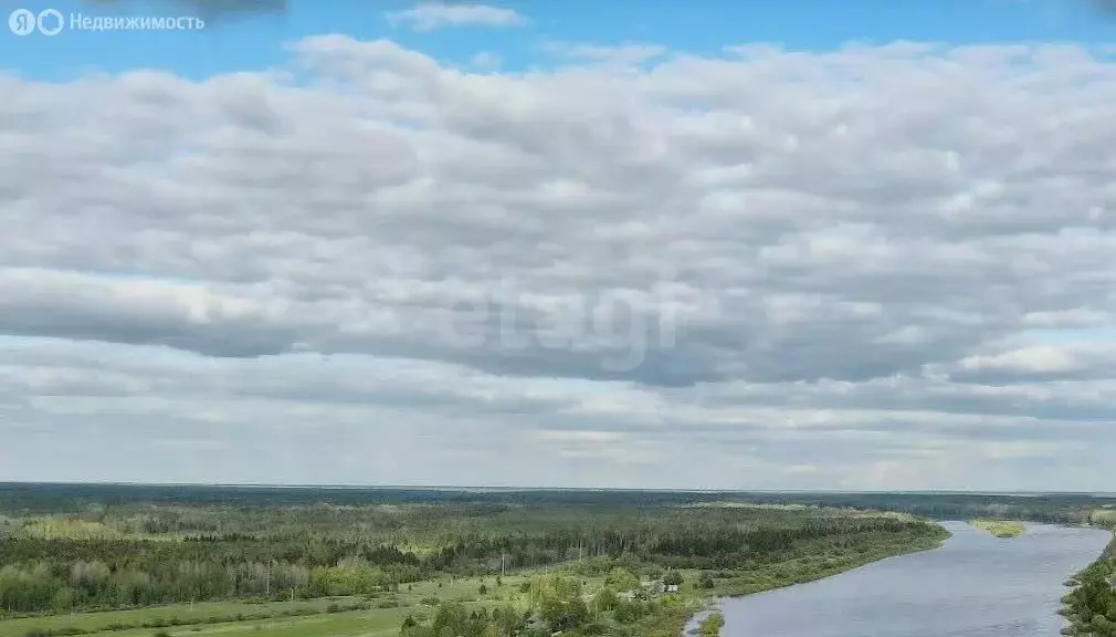 Участок в Вологодская область, Междуреченский муниципальный округ, ... - Фото 0