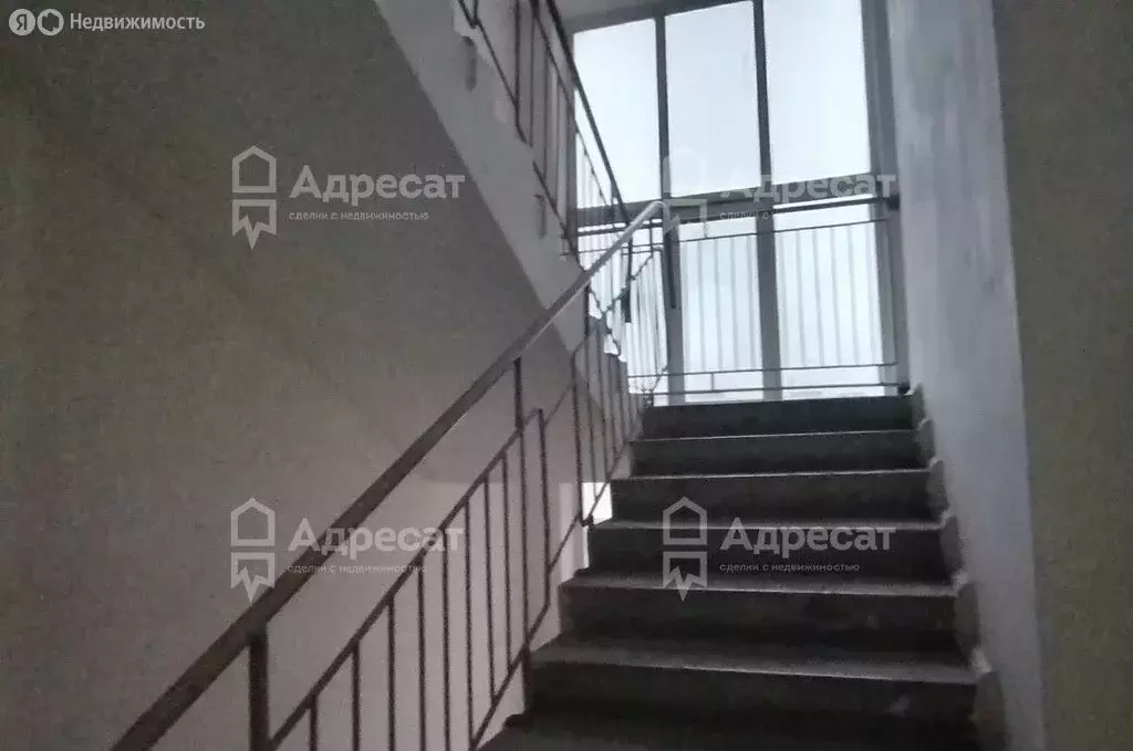 1-комнатная квартира: Волгоград, Ангарская улица, 71 (70 м) - Фото 1