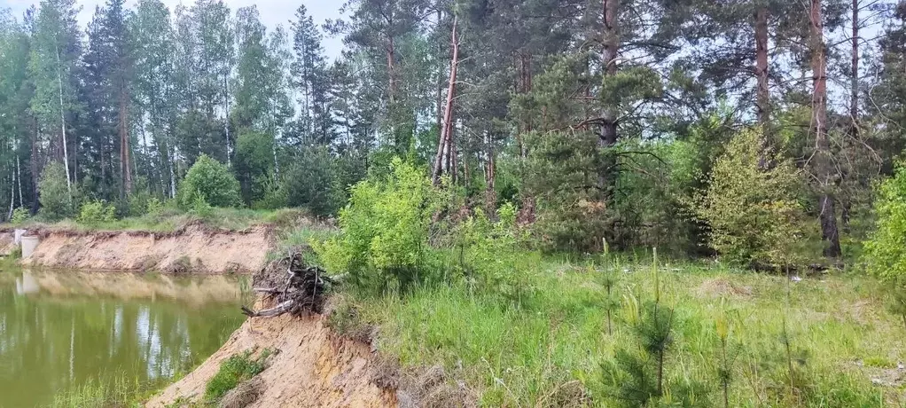 Участок в Московская область, Богородский городской округ, Электроугли ... - Фото 0