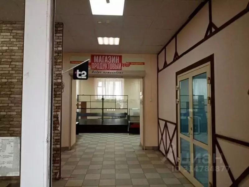 Торговая площадь в Нижегородская область, Нижний Новгород ул. ... - Фото 1
