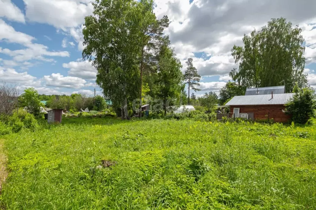 Участок в Новосибирская область, Новосибирский район, Барышевский ... - Фото 0