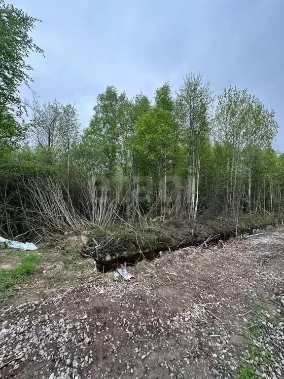 Участок в Ленинградская область, Шлиссельбург Кировский район, ... - Фото 1