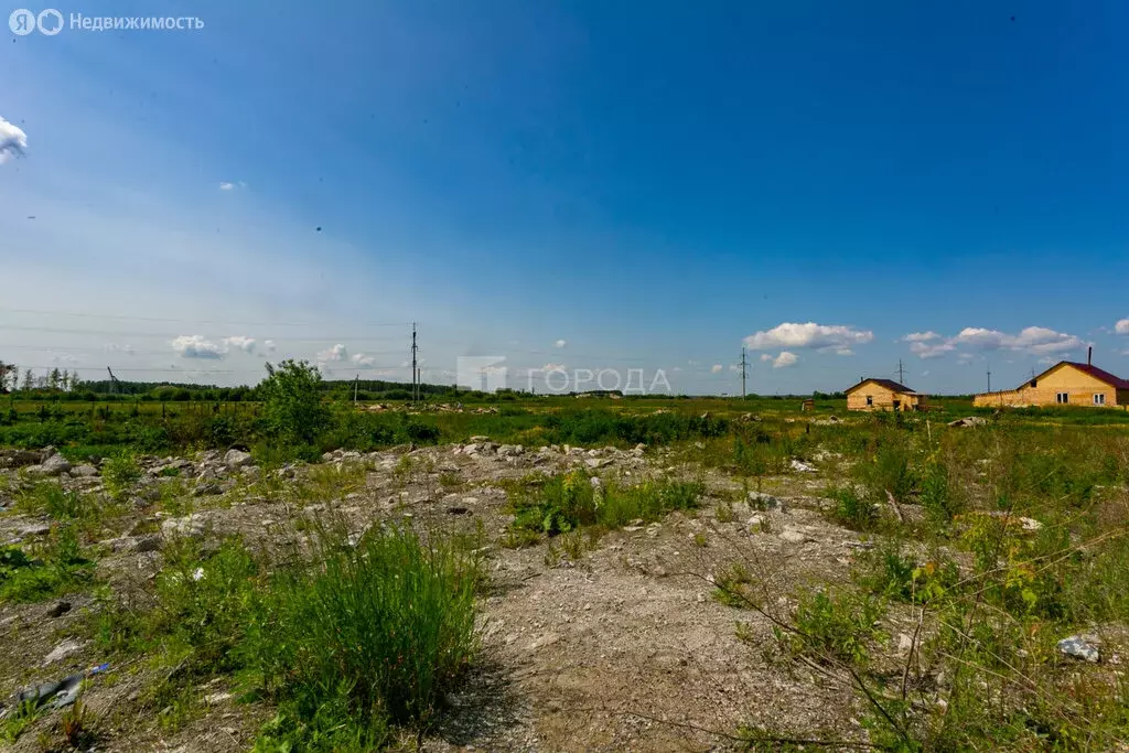 Участок в Криводановский сельсовет, СНТ Рябинка (9.08 м) - Фото 1