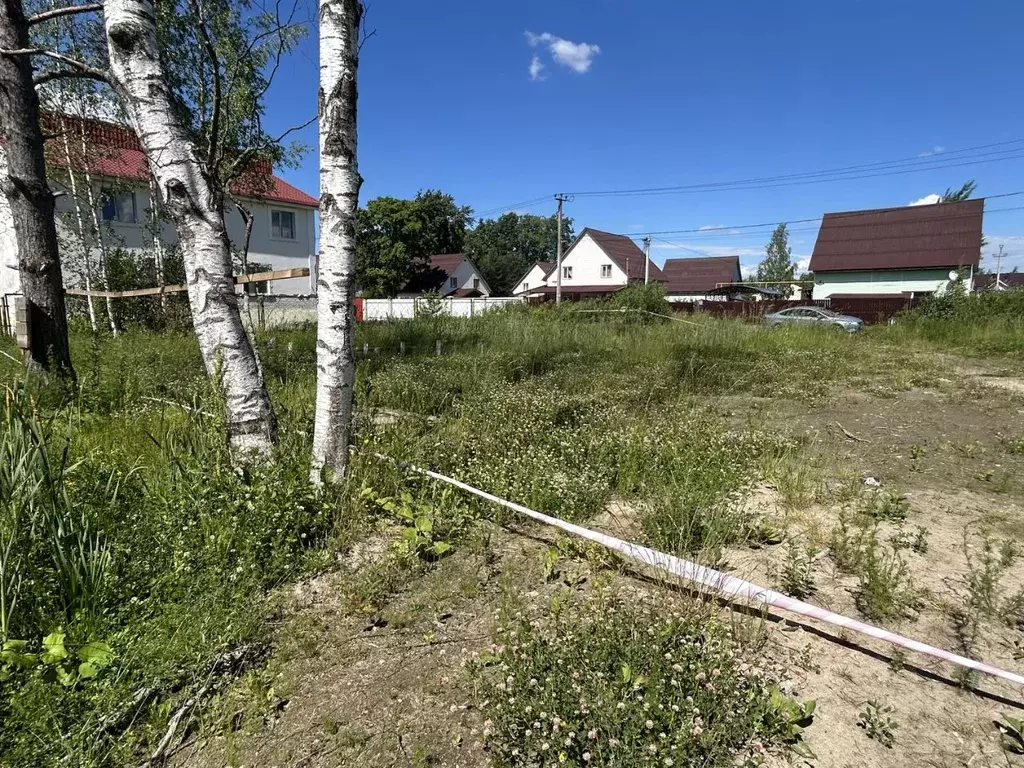 Участок в Ленинградская область, Тосненский район, Ульяновское ... - Фото 2
